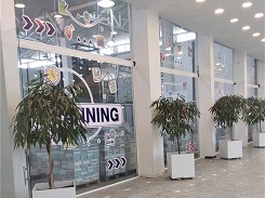 پروژه گاج مارکت