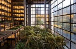 ایده های نوین برای بازسازی ساختمان شیشه ای